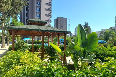 1+1 Wohnung in Mersin, Türkei Nr. 238918 - 6