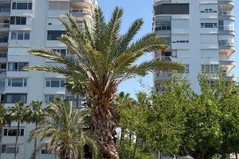 Аренда квартиры  в Ларе, Анталье, Турция 3+1, 160м2, №238306 – фото 3