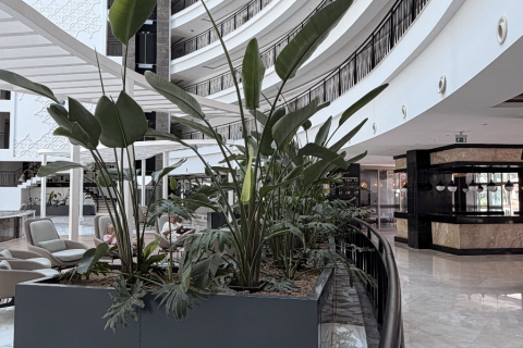 1+1 Leilighet  i Kundu, Antalya, Tyrkia Nr. 238650 - 2