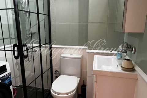 2+1 Leilighet i Izmir, Tyrkia Nr. 238291 - 12
