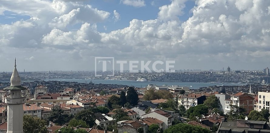 5+2 Wohnung in Istanbul, Türkei Nr. 238680