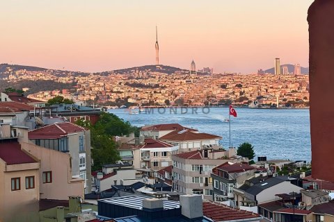 آپارتمان در Beyoglu،  Istanbul ، ترکیه 2 خوابه ، 128 متر مربع.  شماره 238540 - 2