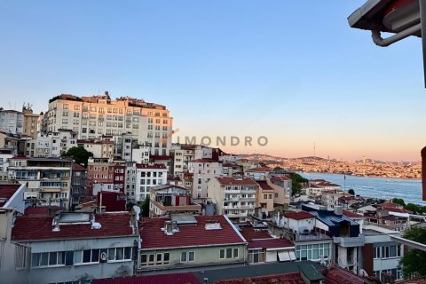 آپارتمان در Beyoglu،  Istanbul ، ترکیه 2 خوابه ، 128 متر مربع.  شماره 238540 - 26