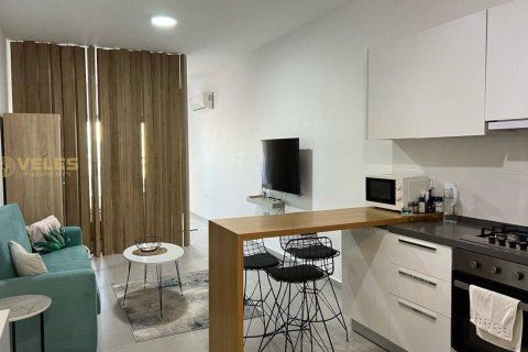 Аренда квартиры  в Лонг Бич, Искеле, Северный Кипр студия, 65м2, №238782 – фото 2