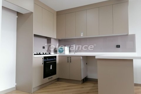 Daire 1+1 Aksu, Antalya, Türkiye №238240 - 2