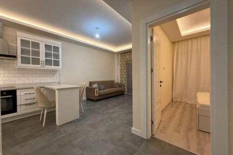 Daire  1+1  Oba, Antalya, Türkiye №238268 - 12
