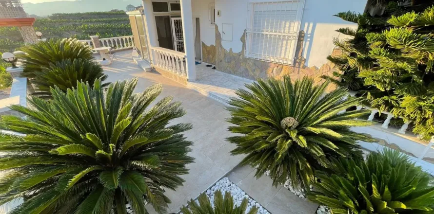Wohnung in Alanya, Antalya, Türkei Nr. 213480