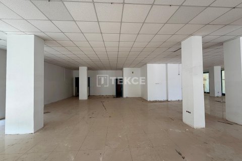 ملک تجاری در  Alanya ، ترکیه 900 متر مربع.  شماره 147503 - 8