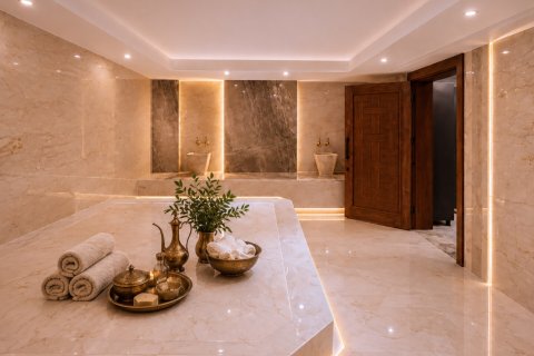 آپارتمان در  Alanya ، ترکیه 1 خوابه ، 60 متر مربع.  شماره 238765 - 14