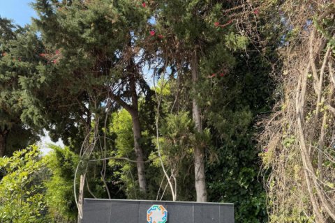 2+1 Lejlighed i Oba, Antalya, Tyrkiet Nr. 238384 - 22