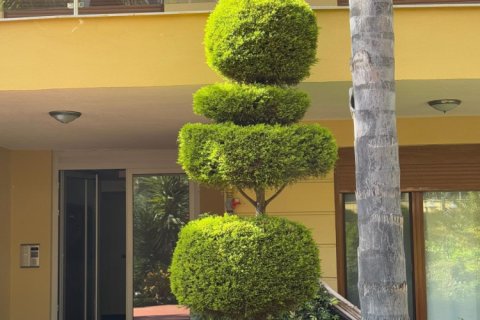 2+1 Lejlighed i Oba, Antalya, Tyrkiet Nr. 238384 - 21