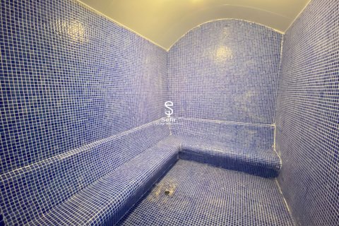Daire  1+1  Alanya, Antalya, Türkiye №238157 - 20