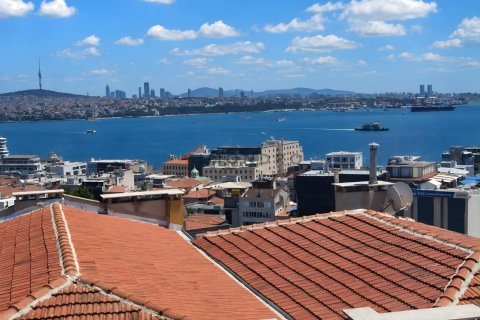Daire  3+1  Beyoğlu, İstanbul, Türkiye №238894