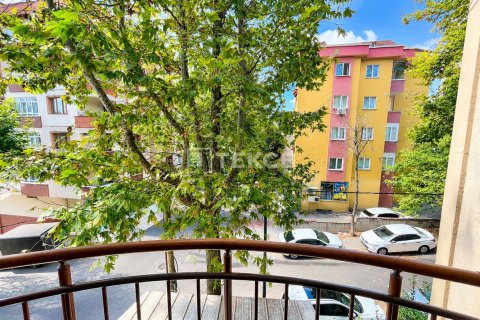 Villa  6+2  İstanbul, Türkiye №238248