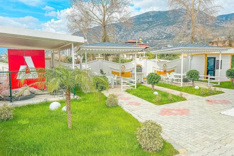 1+1 Leilighet  i Mahmutlar, Antalya, Tyrkia Nr. 32402 - 17