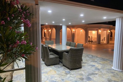 Villa i Alanya, Antalya, Tyrkia Nr. 238385 - 10