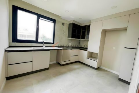 4+1 Villa  i Silivri, Istanbul, Tyrkiet Nr. 238813 - 16