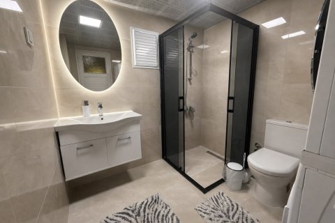 3+1 Wohnung in Antalya, Türkei Nr. 238913 - 14