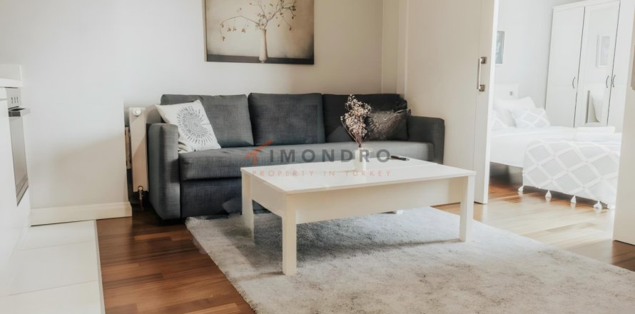 Квартира 1+1 в Бейоглу, Стамбул, Турция №238740