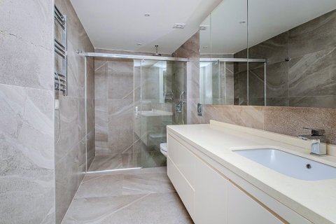Daire 1+0 Konaklı, Antalya, Türkiye №238905 - 7
