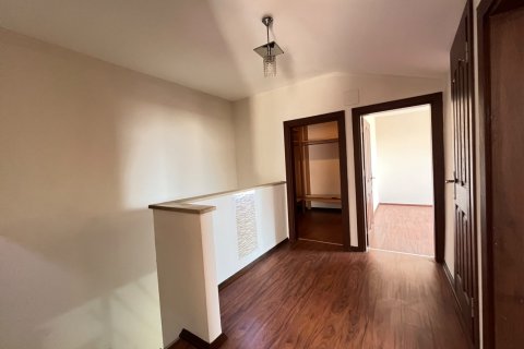 3+1 Wohnung in Alanya, Antalya, Türkei Nr. 238573 - 7