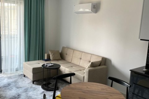 Продажа квартиры  в Кестеле, Анталье, Турция 1+1, 50м2, №238635 – фото 2