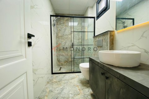 5+1 Villa i Silivri, Istanbul, Tyrkiet Nr. 238794 - 5