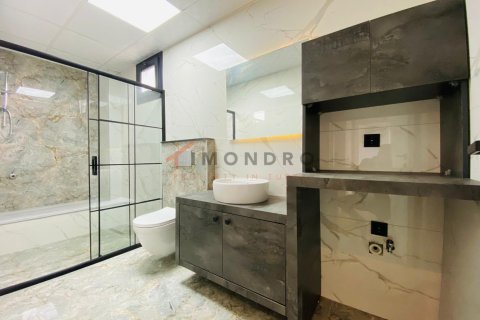 5+1 Villa i Silivri, Istanbul, Tyrkiet Nr. 238794 - 9