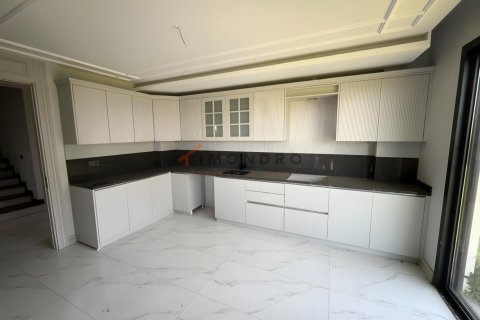 4+1 Villa i Silivri, Istanbul, Tyrkiet Nr. 238796 - 9