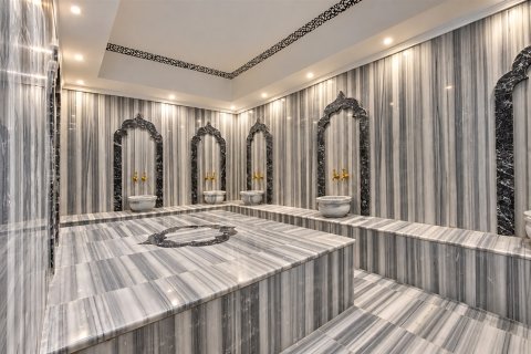 2+1 Leilighet i Kestel, Antalya, Tyrkia Nr. 238656 - 30