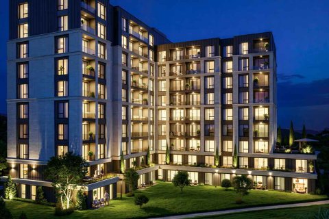 Wohnung in Istanbul, Türkei Nr. 238668 - 8
