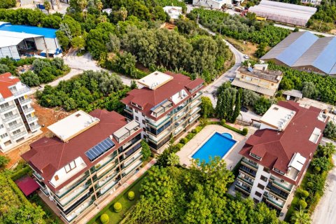 2+1 Wohnung  in Kestel, Antalya, Türkei Nr. 238352 - 30
