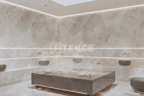 2+1 Leilighet i Istanbul, Tyrkia Nr. 238564 - 10