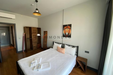 1+1 Lejlighed  i Beyoglu, Istanbul, Tyrkiet Nr. 238810 - 9