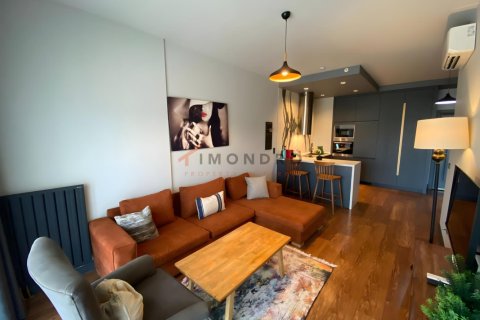 1+1 Lejlighed  i Beyoglu, Istanbul, Tyrkiet Nr. 238810 - 4