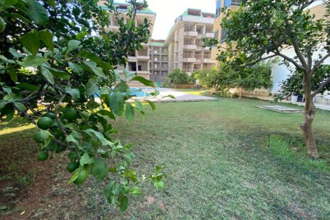 آپارتمان در Alanya ، ترکیه 4 خوابه ، 180 متر مربع. شماره 238768 - 9