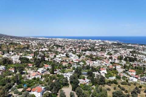 4+1 Villa i Ozankoy, Girne, Nr. 214260 - 12
