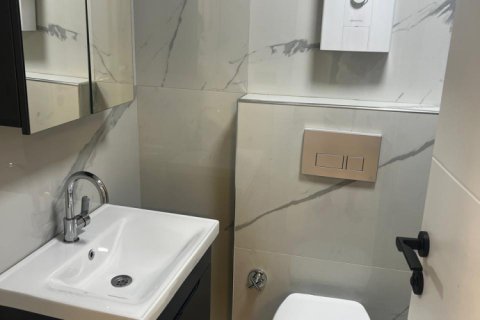 1+1 Wohnung in Mahmutlar, Antalya, Türkei Nr. 238459 - 9