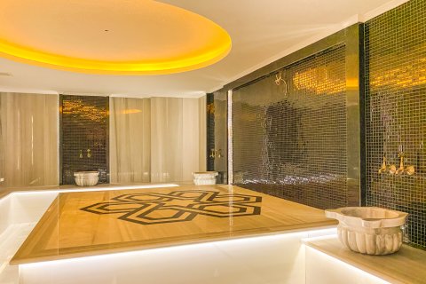 2+1 Lägenhet  i Mahmutlar, Antalya, Turkiet Nr. 238178 - 26
