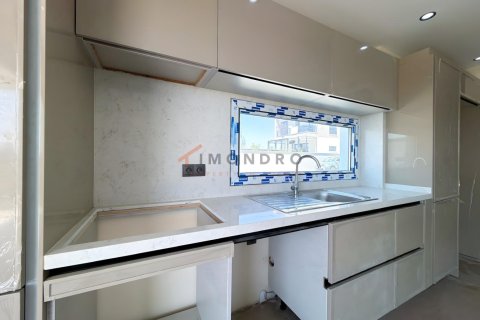 3+1 Villa i Silivri, Istanbul, Tyrkiet Nr. 238795 - 13