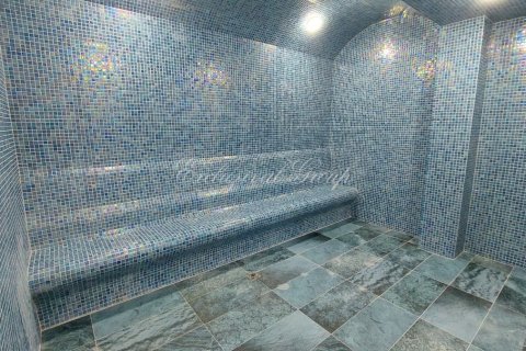 ویلا در Bodrum ، ترکیه 3 خوابه ، 140 متر مربع. شماره 238211 - 14