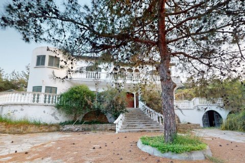 Tömma  i Girne,  Nr. 103699