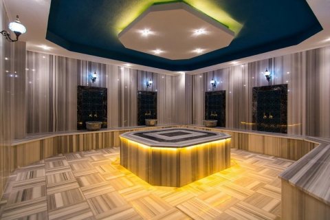 Аренда квартиры в Аланье, Анталье, Турция 1+1, 70м2, №138753 – фото 6