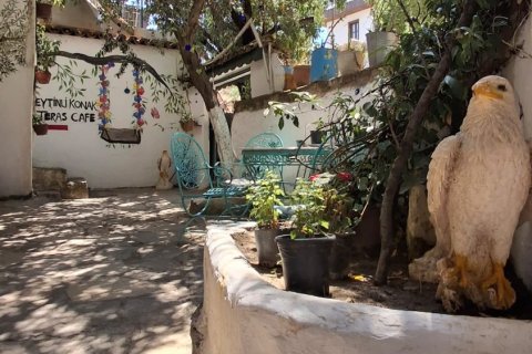 Kommersiella fastigheter i Selcuk, Izmir, Turkiet Nr. 223247 - 20