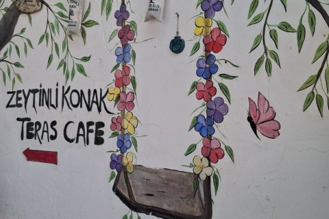 Kommersiella fastigheter i Selcuk, Izmir, Turkiet Nr. 223247 - 18