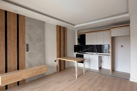 Daire  1+1  Altıntaş, Antalya, Türkiye №226996 - 14