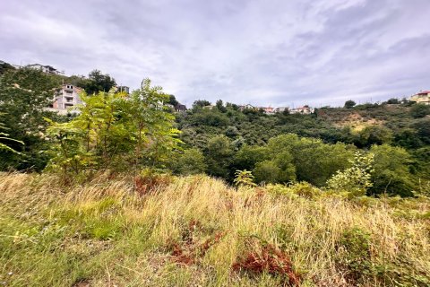 Продажа земельного участка в Акчаабате, Трабзоне, Турция, №232191 – фото 6