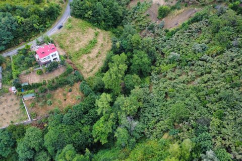 Продажа земельного участка в Акчаабате, Трабзоне, Турция, №232191 – фото 7