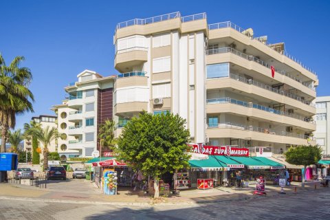 Begonia   Oba, Antalya, Türkiye №98208