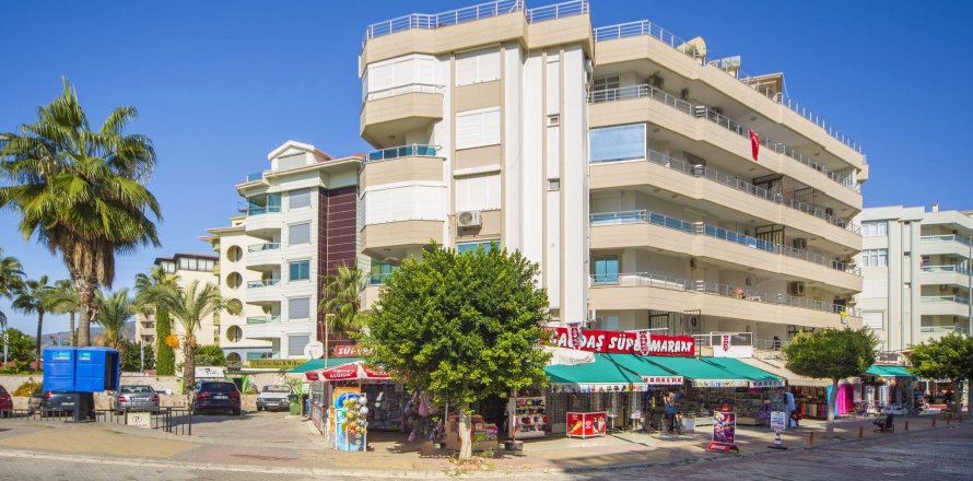 Begonia Oba, Antalya, Türkiye №98208